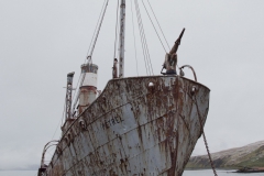 7R1A1492