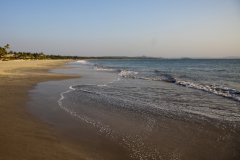 IMG_3564_1